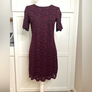 Lark & Ro Lace Merlot Half Sleeve Woman's Size 4